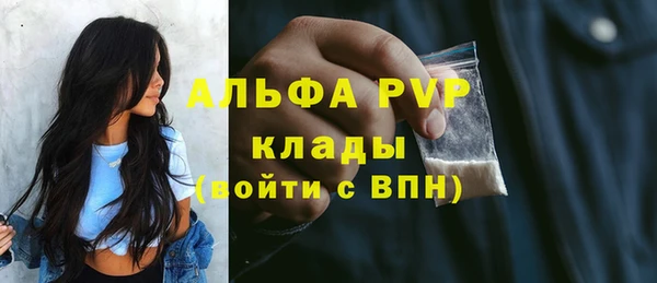 прущие грибы Волоколамск