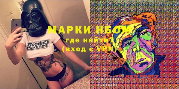 прущие грибы Волоколамск