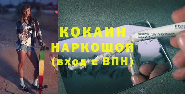 прущие грибы Волоколамск