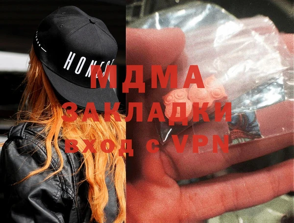 прущие грибы Волоколамск