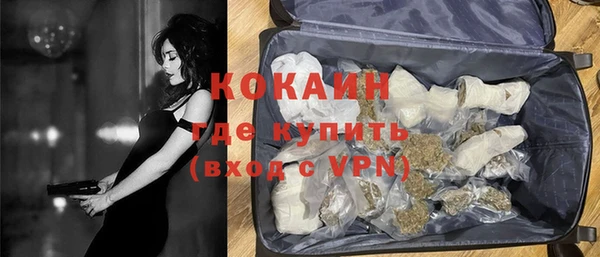 прущие грибы Волоколамск