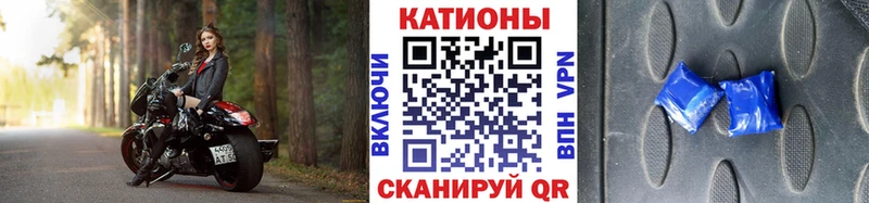 МЯУ-МЯУ мяу мяу  Купить где  Котлас 