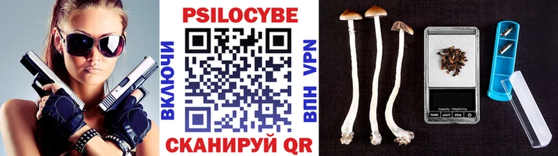 Купить где  Котлас  Псилоцибиновые грибы MAGIC MUSHROOMS 